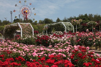 蜂ヶ峯総合公園