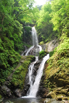雨乞の滝