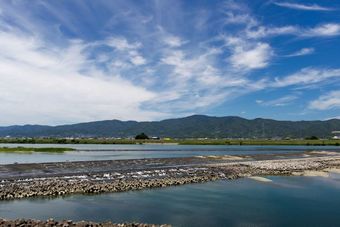 吉野川第十堰
