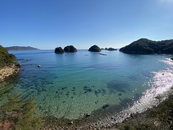 水床湾