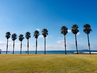 一の宮公園・海岸
