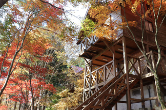 大川山