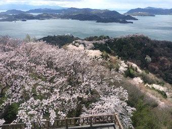 積善山