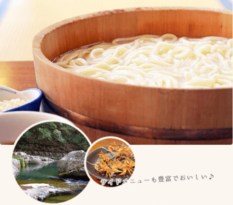 御所のたらいうどん