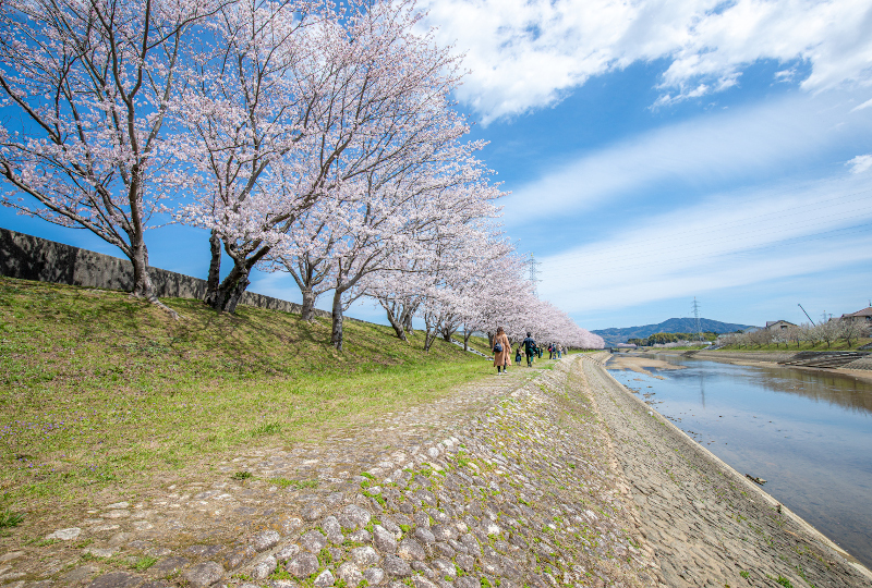 田布施町