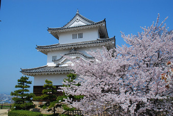 石垣の名城　丸亀城